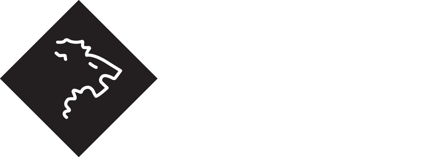 Aslan Bijuteri | Luxury Jewellery Creations