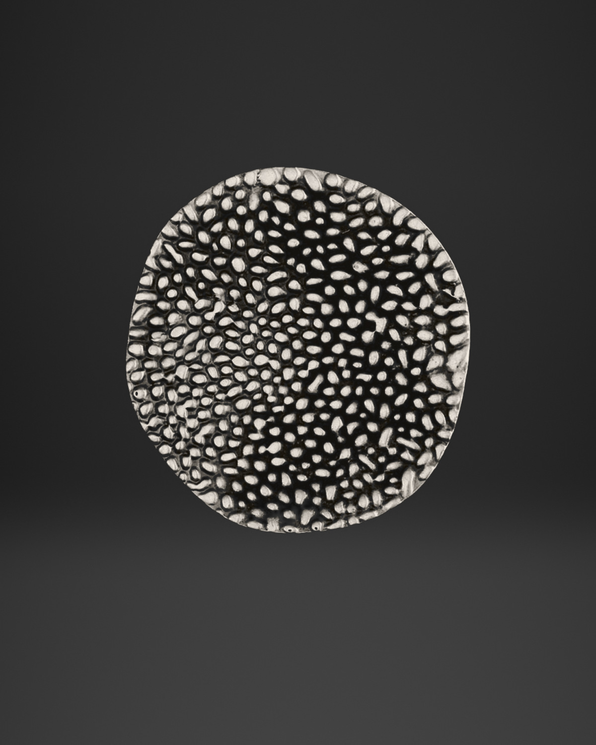 Pebble Field Disc Medallion
