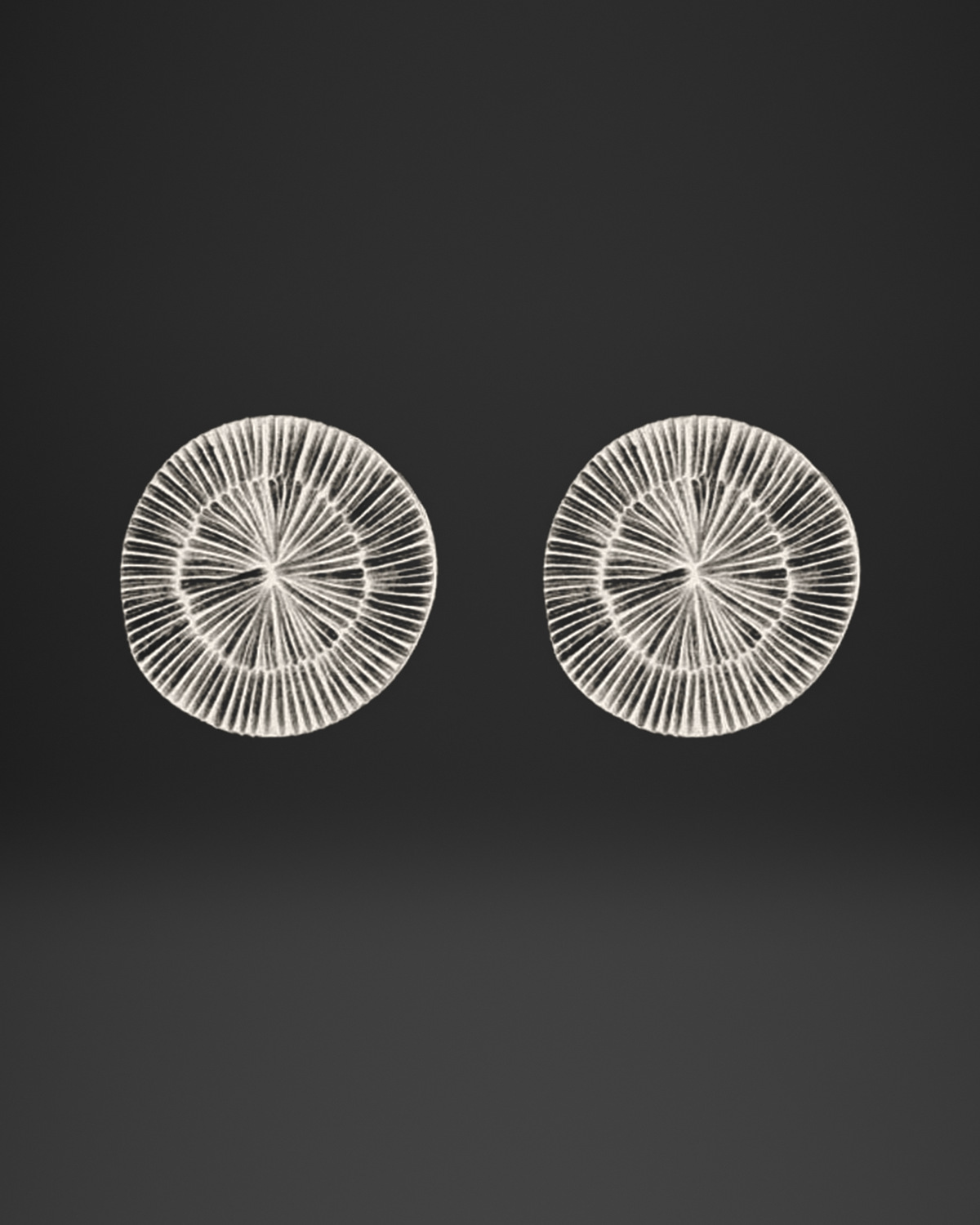 Radial Line Sunburst Clip-On Earrings