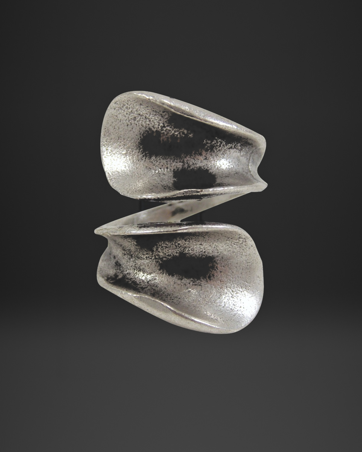 Twisted Wave Plate Ring