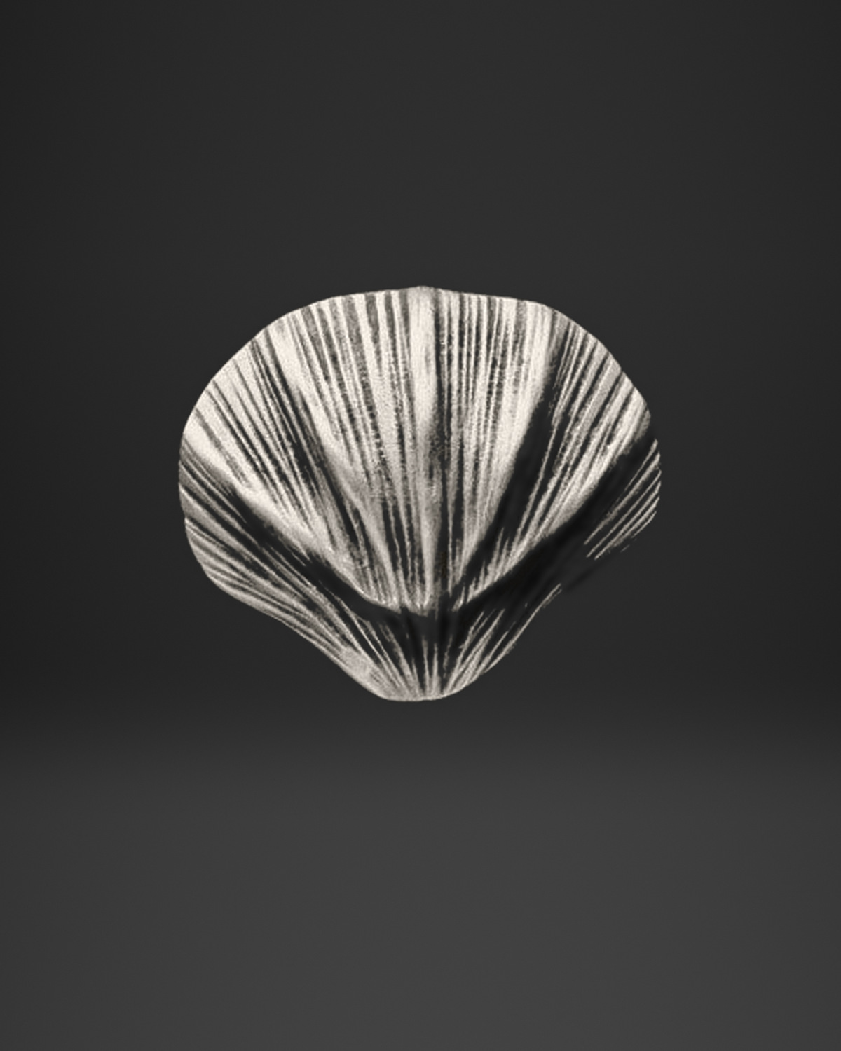 Fan Shell Ridge Ring