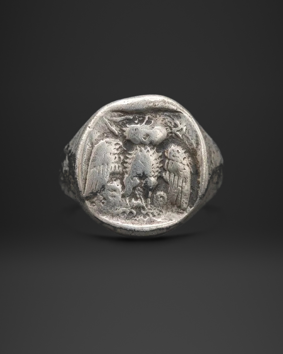 Owl Coin Signet Ring