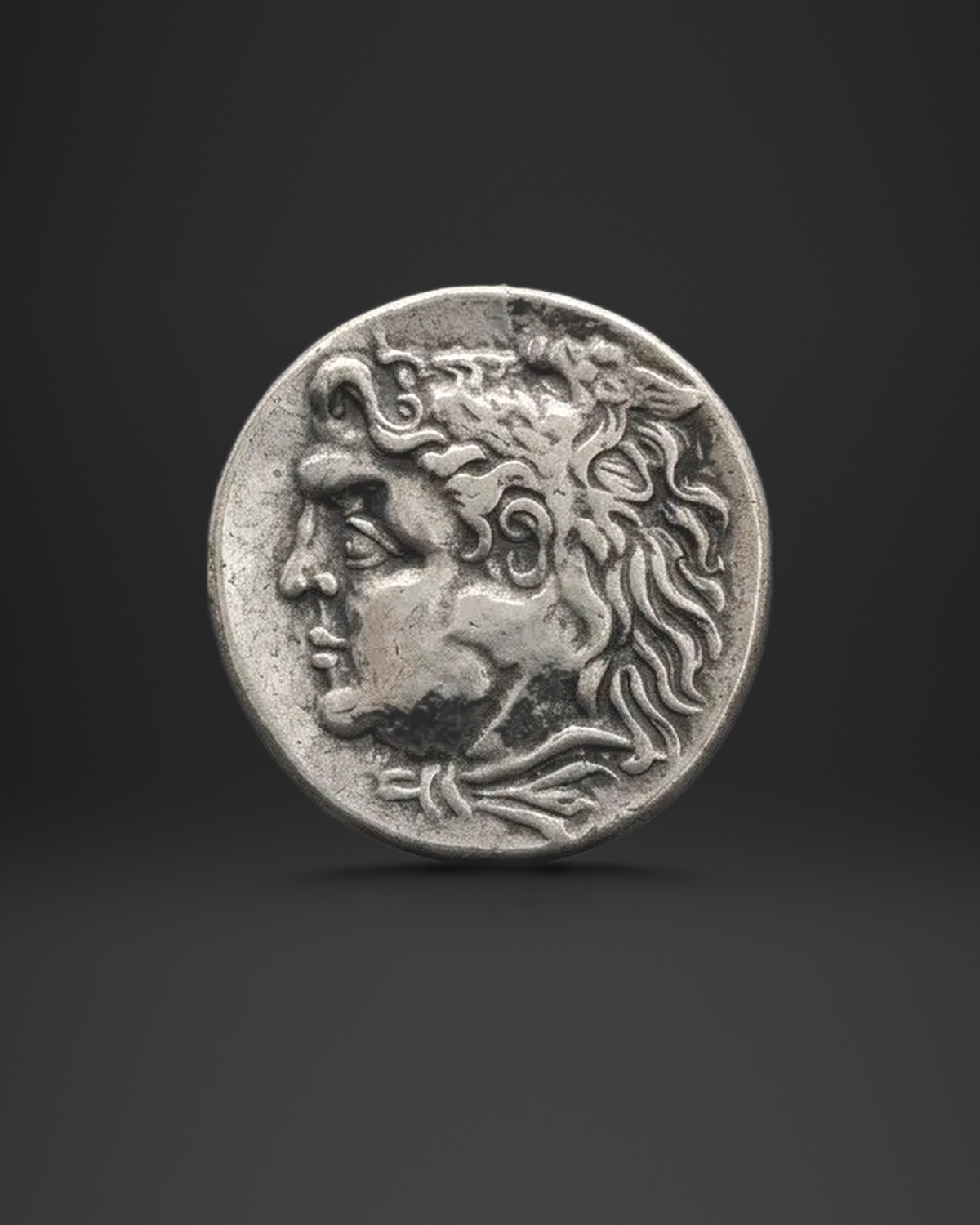 Lion Mane Hero Coin Ring